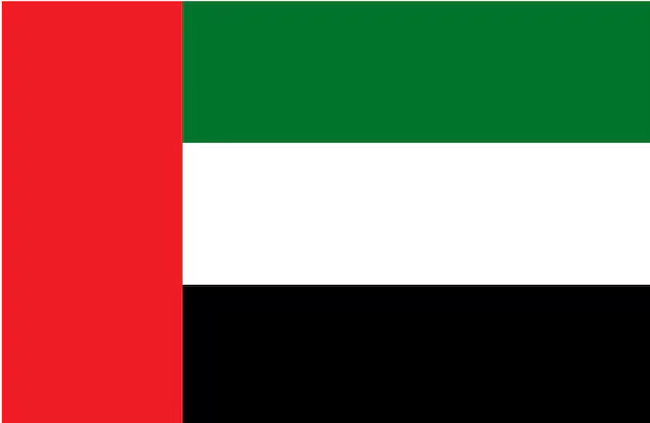 UAE Flag